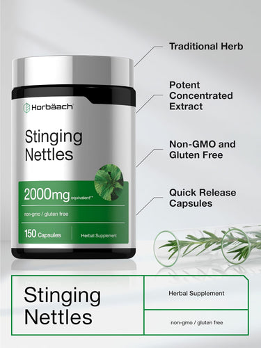 View 4 Horbäach Stinging Nettles 2000mg, 150 Capsules. Herbal supplement, non-GMO and gluten-free, quick release.