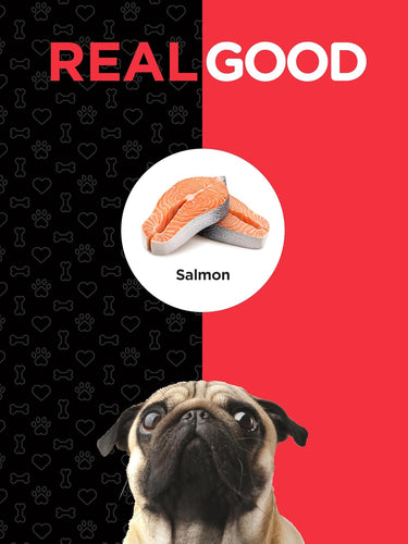 View 6 Product packaging with a pug dog, salmon, and 'Real Good' branding on a black and red background.