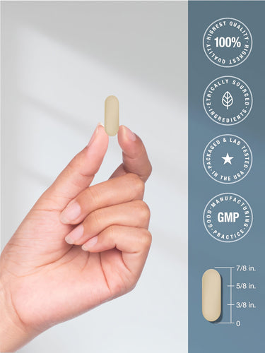 View 7 A light-colored oblong Glucosamine HCL tablet, 7/8 inches long and 3/8 inches wide, held in a hand for size reference.