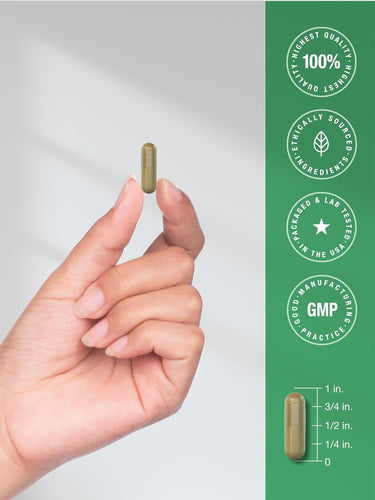 View 7 Fruits and Veggies Supplement | 100 Capsules
