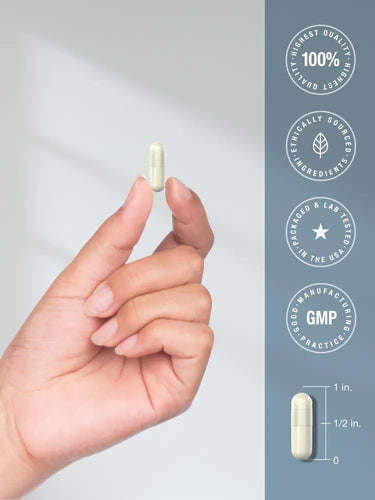 Hand holding a white capsule with certification icons on a light gray background