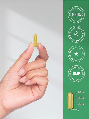 View 7 Berbérine avec Cannelle de Ceylan | 120 Gélules