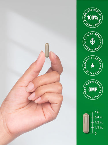 View 7 Saw Palmetto 3600 mg capsule held by fingers, displayed with a scale showing a 3/4 inch length.