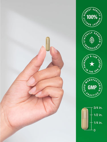 View 7 A 3/4 inch light tan capsule is held between fingers against a vertical scale.