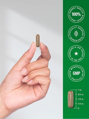 View 7 Graviola Extract | 120 Capsules