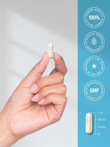 Hand holding a capsule with certification icons on a light gray background