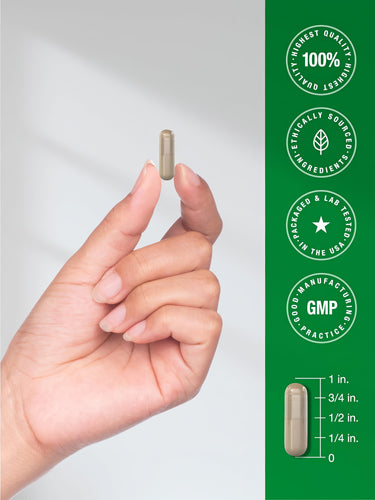 View 7 A hand holding a Valerian capsule with a scale showing its length is approximately 1 inch.
