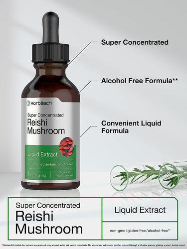 Extrait de champignon Reishi | Liquide 2oz