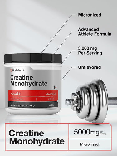 Creatina Monohidratada | Pó de 500g
