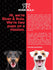 Advertisement for River & Rula dog supplements featuring two dogs on a red and black background.