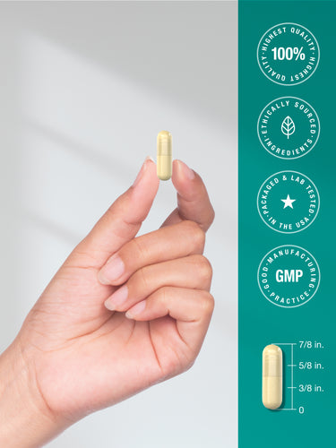 View 5 graphic stating 100% Highest Quality, Ethically Sourced Ingredients, Packaged & Lab Tested in the USA, Good Manufacturing Practices, GMP