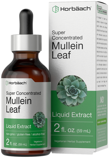View 1 Horbaach Super Concentrated Mullein Leaf Liquid Extract bottle and packaging on a white background