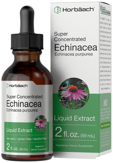 Horbaach Echinacea liquid extract bottle and packaging on a white background