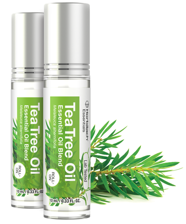 View 1 Two bottles of Tea Tree Oil with a green leafy branch on a white background