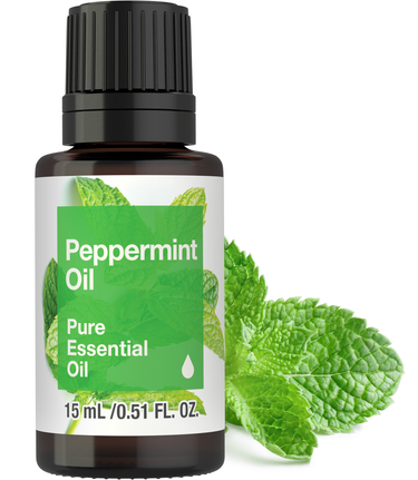 Peppermint essential oil bottle with green label and mint leaves on a white background
