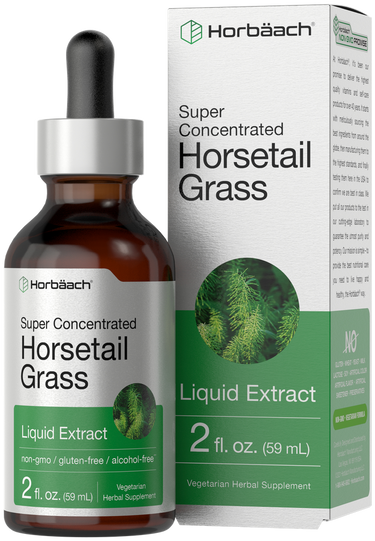 View 1 Horbaach Super Concentrated Horsetail Grass Liquid Extract bottle and packaging on a white background