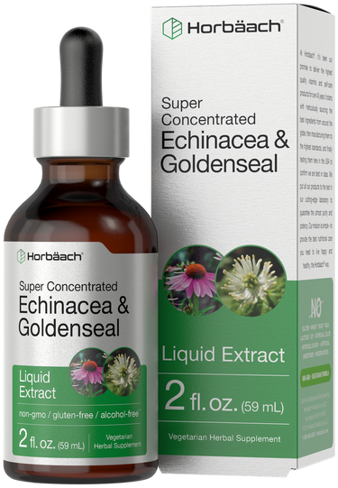 Horbaach Echinacea & Goldenseal liquid extract bottle and packaging on a white background
