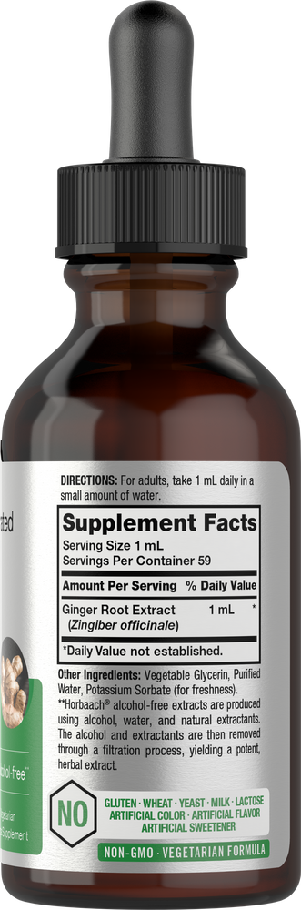 View 2 Bottle of ginger root extract supplement with label.