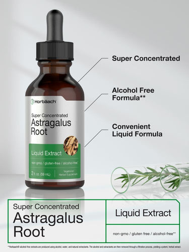 Bottle of Astragulus Root Liquid Extract with label details on a neutral background.