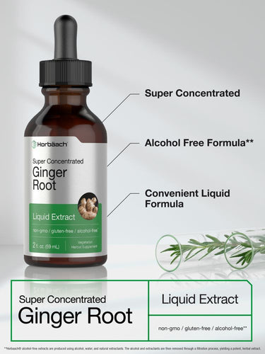 Bottle of super concentrated ginger root liquid extract with text on a white background.