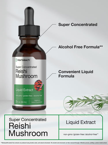 Bottle of HerbAlach Reishi Mushroom Liquid Extract with text highlighting features on a light gray background.