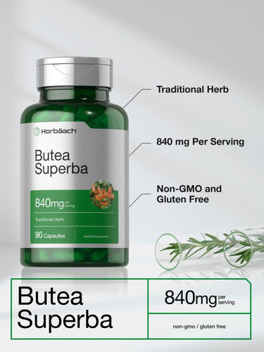 Butea Superba Root 840mg per serving | 90 Capsules