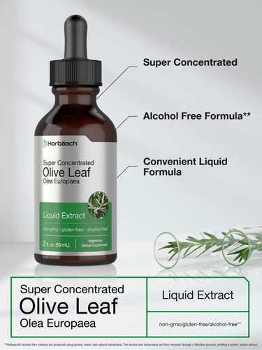 View 3 Bottle of super concentrated olive leaf liquid extract with text labels on a neutral background.