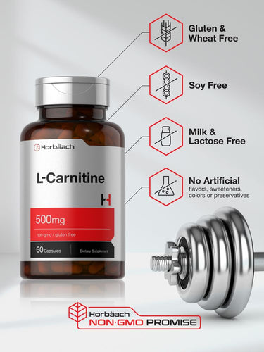 L-Carnitine 500mg | 60 Capsules