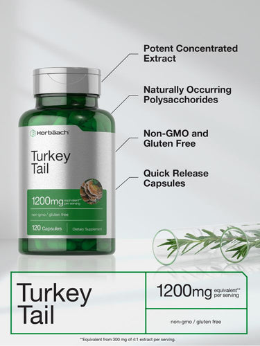 Turkey Tail Mushroom 1200mg per serving | 120 Capsules