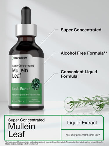 View 4 Bottle of Hortabach Mullein Leaf Liquid Extract with text highlighting features on a light gray background.