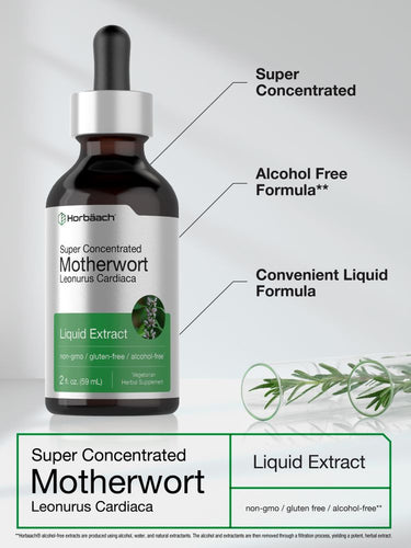View 4 Bottle of Horbaach Super Concentrated Motherwort Liquid Extract with text highlighting features on a light gray background.