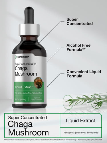 View 4 Chaga-Pilz | 2oz Flüssigkeit