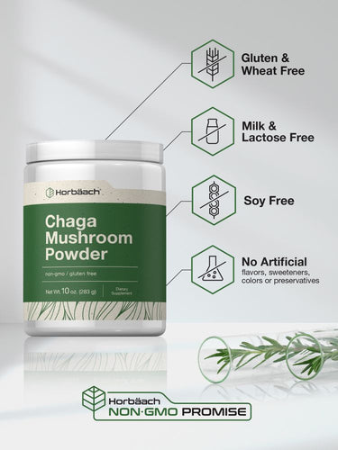 Chaga Mushroom | 10oz Powder