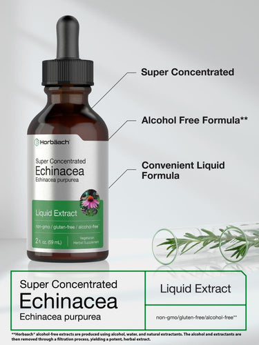 Bottle of super concentrated echinacea liquid extract with text on a white background.