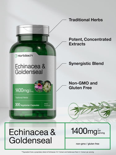 Green bottle of Echinacea & Goldenseal capsules with text highlighting features.