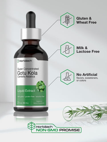 View 5 Bottle of Gotu Kola liquid extract with certification icons on a light gray background
