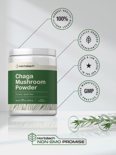 View 5 Funghi Chaga | Polvere da 10oz