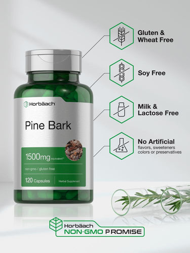 Green bottle of Pine Bark capsules with certification icons on a light background.