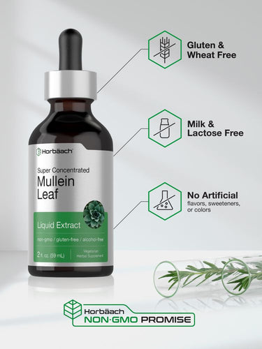 Bottle of Mullein Leaf Liquid Extract with certification icons on a white background