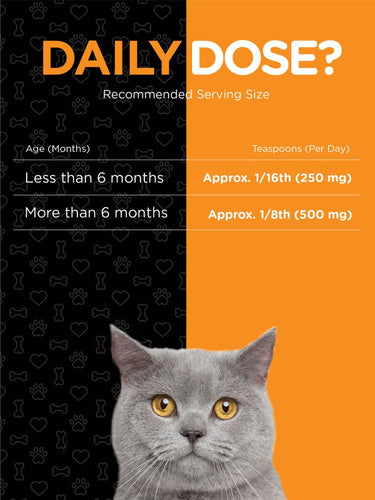 View 5 Cat on an orange and black background with 'Daily Dose?' text and dosage information.