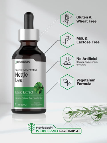 HerbAlacch Nettle Leaf Liquid Extract bottle with certification icons on a light gray background