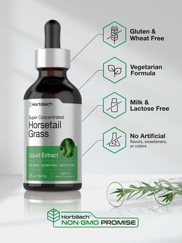 Horsetail Grass liquid extract bottle with certification icons on a light gray background