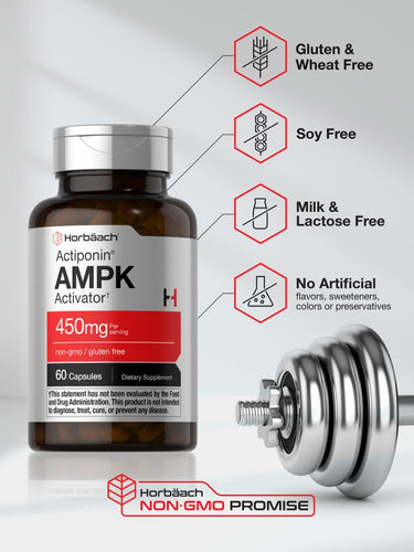 View 5 Bottle of AMPK Activator supplement with fitness weight bar on gray background.