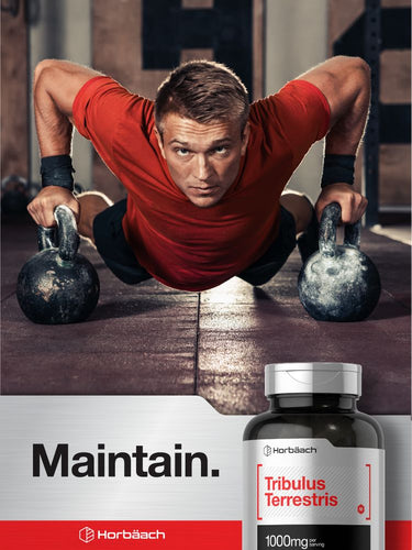 Tribulus Terrestris 1000mg por porción | 180 Cápsulas