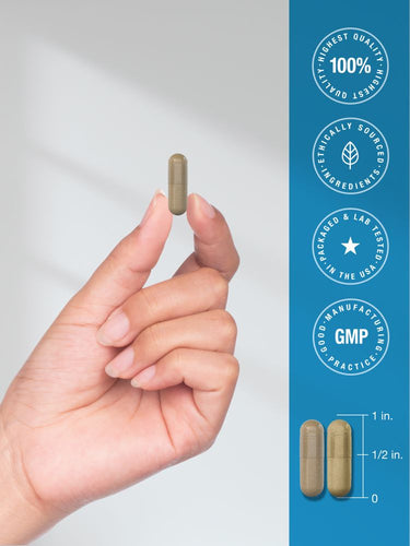 View 6 3 Day Cleanse | 12 Vegan Capsules