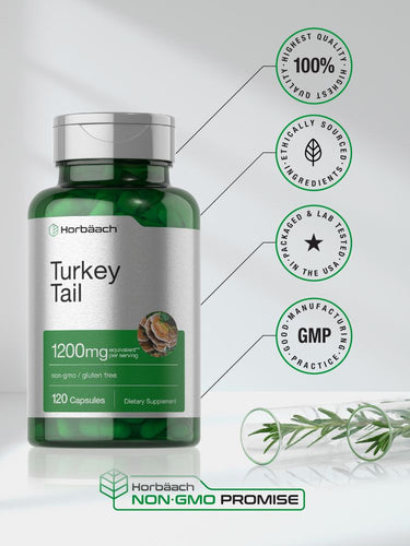 View 6 Turkey Tail Mushroom | 120 Capsules
