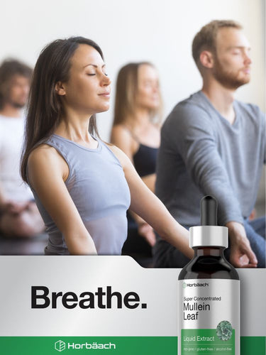 View 6 Advertisement for Horbaach Mullein Leaf Liquid Extract with people meditating in the background
