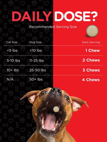 Haustier-Multivitamin für Hunde & Katzen | 120 kaubare Tabletten