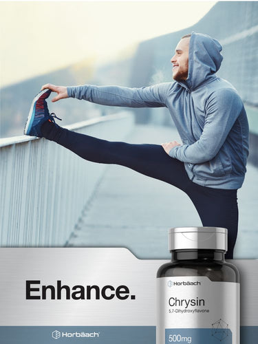 View 6 Chrysin 500mg | 60 Cápsulas