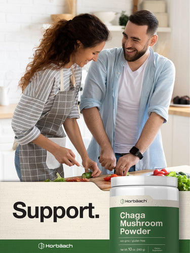 View 6 Funghi Chaga | Polvere da 10oz